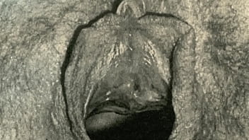 Dark Lantern Entertainment Presents ‘vintage Closeups’ From My Secret Life: Erotic Confessions Of A Victorian Gentleman