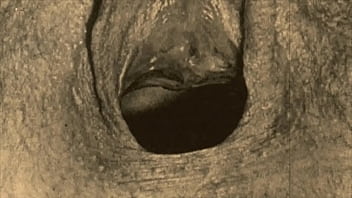 Dark Lantern Entertainment Brings You ‘vintage Closeups’ From My Secret Life: Erotic Confessions Of A Victorian English Gentleman