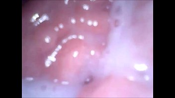 Oral, Vaginal, And Anal Sex