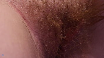 Bush Appreciation