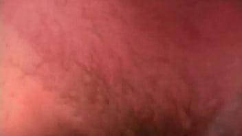 Amateur Blonde Wife Gives Oral And Rides Her Husband, Finishing With A Facial.