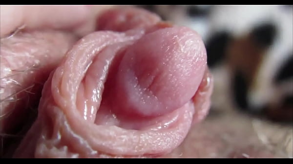 Enlarged Clit Climax In High Definition Close-up