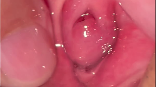 Amateur Pink Pussy: 263 Days Of Raw, Unfiltered Lust Since Her First Time